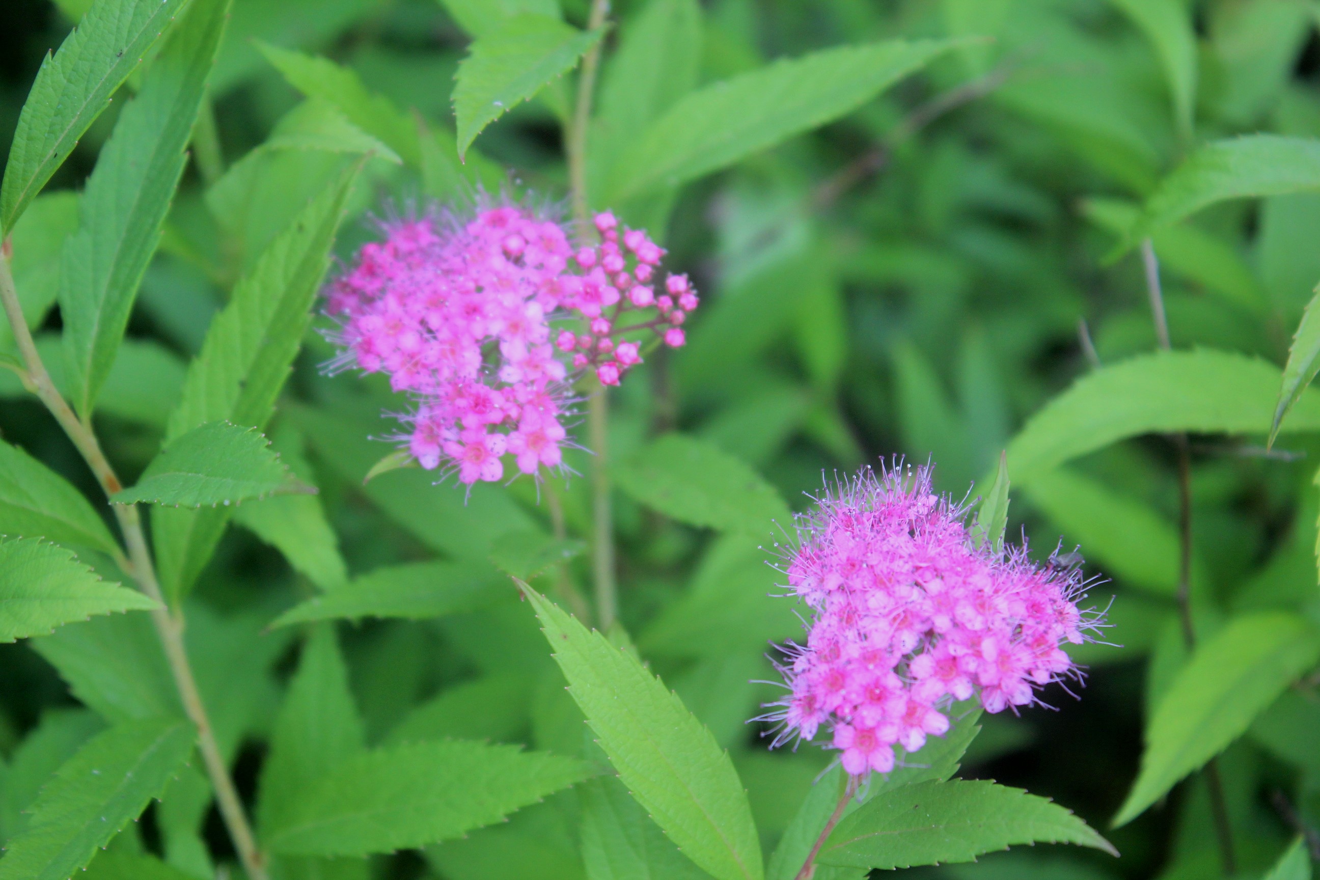 北京市|重庆能不能算是一线城市?