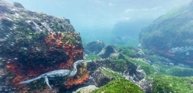 12个科学家无法解释的世界神秘现象