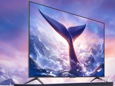 红米手机|RedmiMax100的定价太夸张，19999元不让活了？在做慈善嘛？