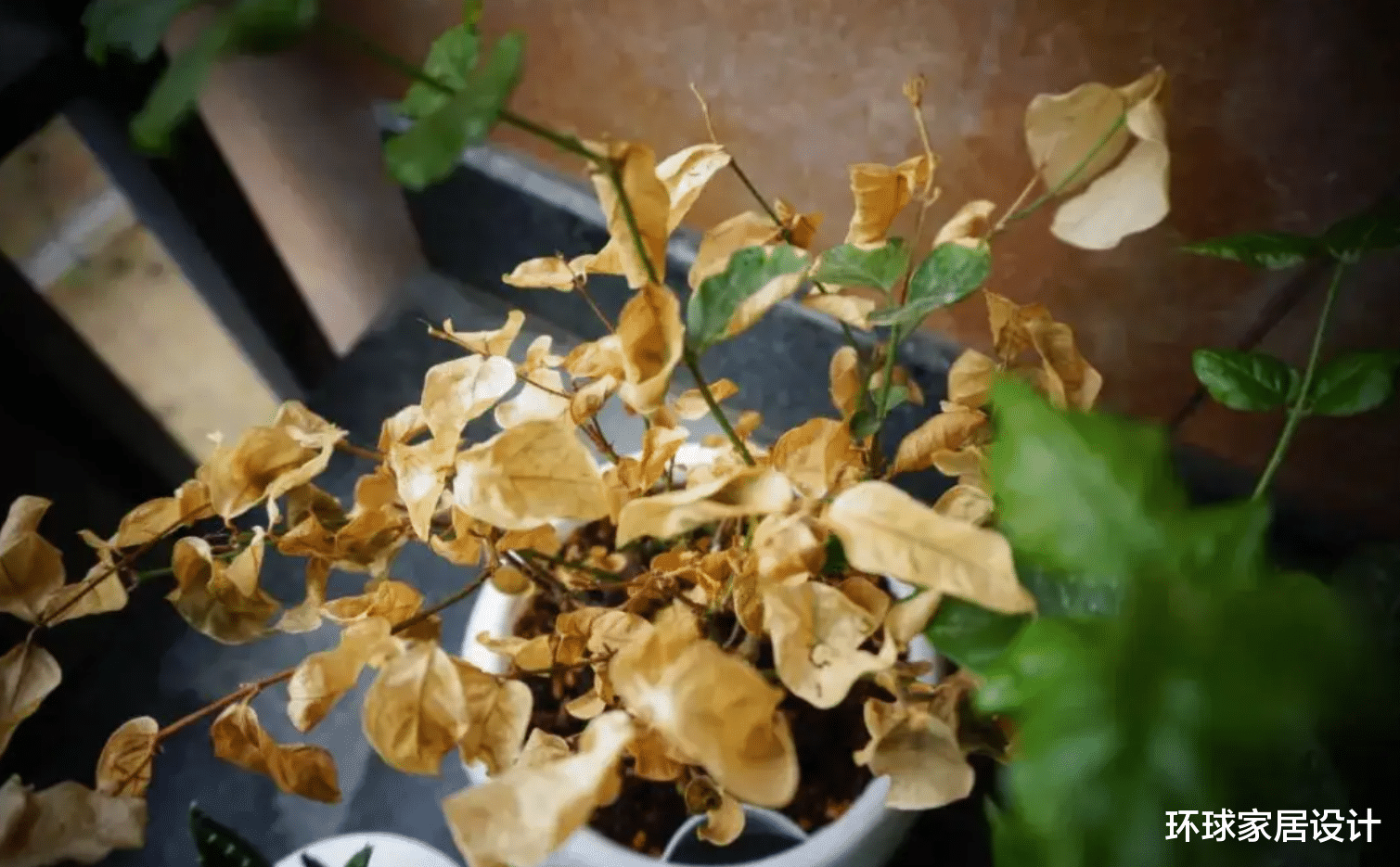 建议大家:卫生间不要放这5样东西,没开玩笑,别不当一回事!