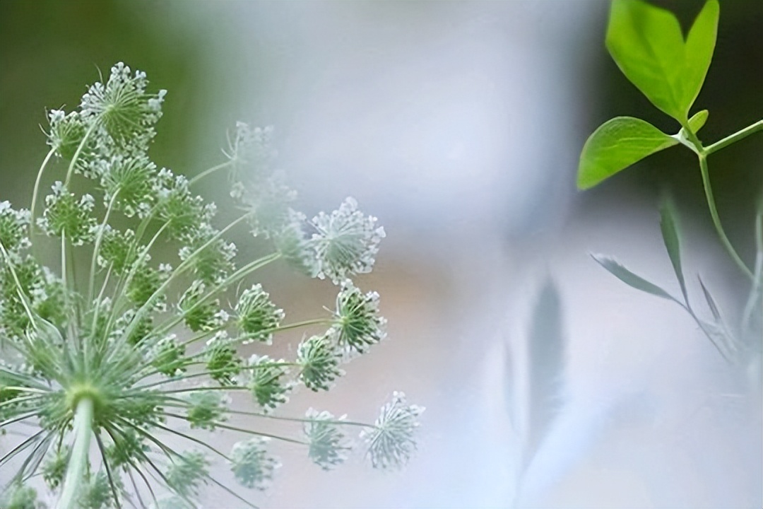 退休|上天要抛弃一个人，往往会在他50岁时，给出这些提示，要警惕