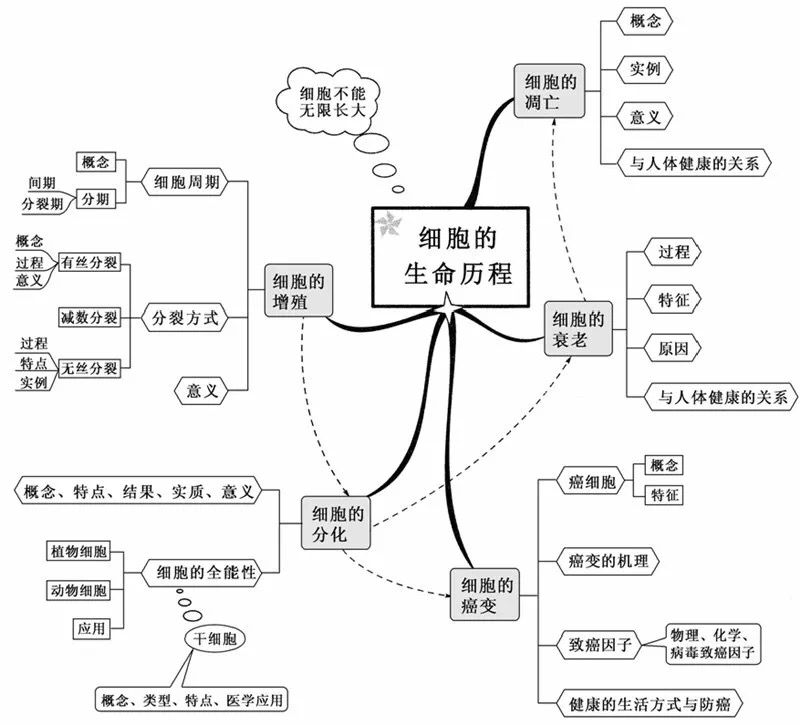 初中生物:重要知识点图解,内容清晰明了、简单易懂