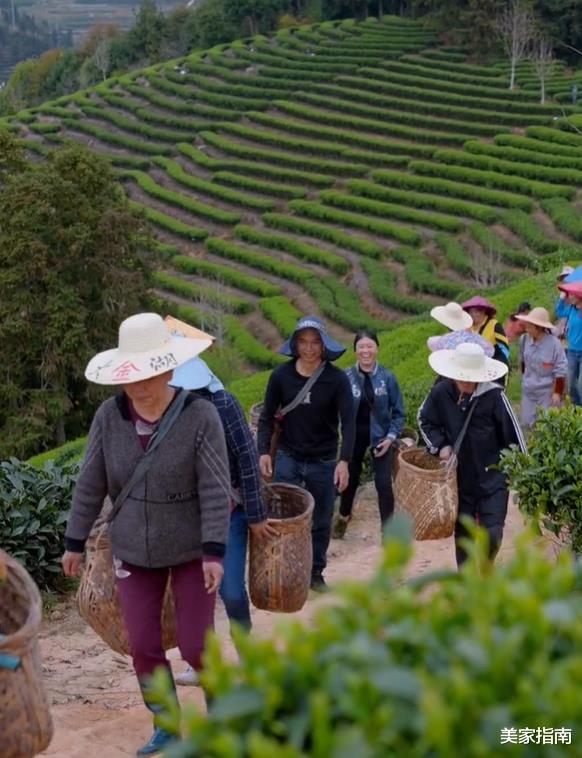 乡亲们|36岁乡愁沈丹的真实生活，挖笋、种地、砍柴，网友：佩服又感动