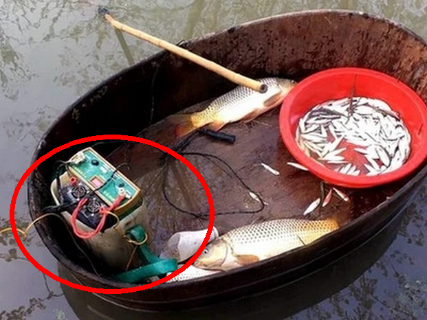 浙江省|浙江一电鱼人不慎电死自己, 钓鱼人听后毫无波澜, 常在河边走必湿鞋