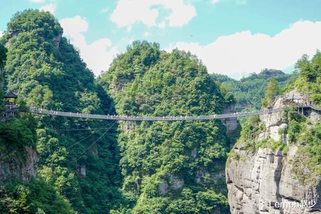 旅游业|三亚有个热带森林公园,被称为天下第一湾,拥有世界最大的弥勒佛