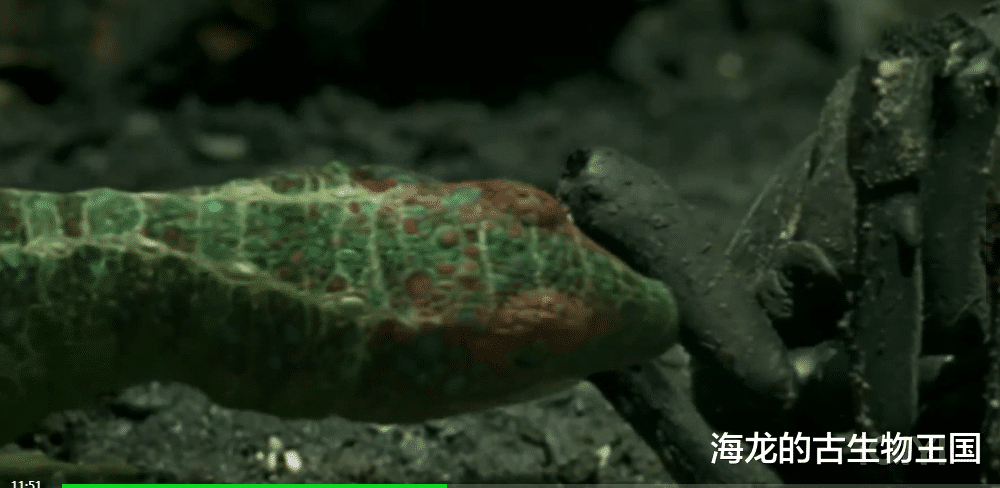 油页岩蜥笑到最后!巨型虫的时代快将告终!爬行动物成为时代霸主!
