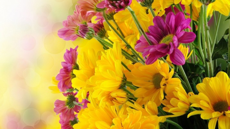 |工作的无力感,说说我个人工作上的经历