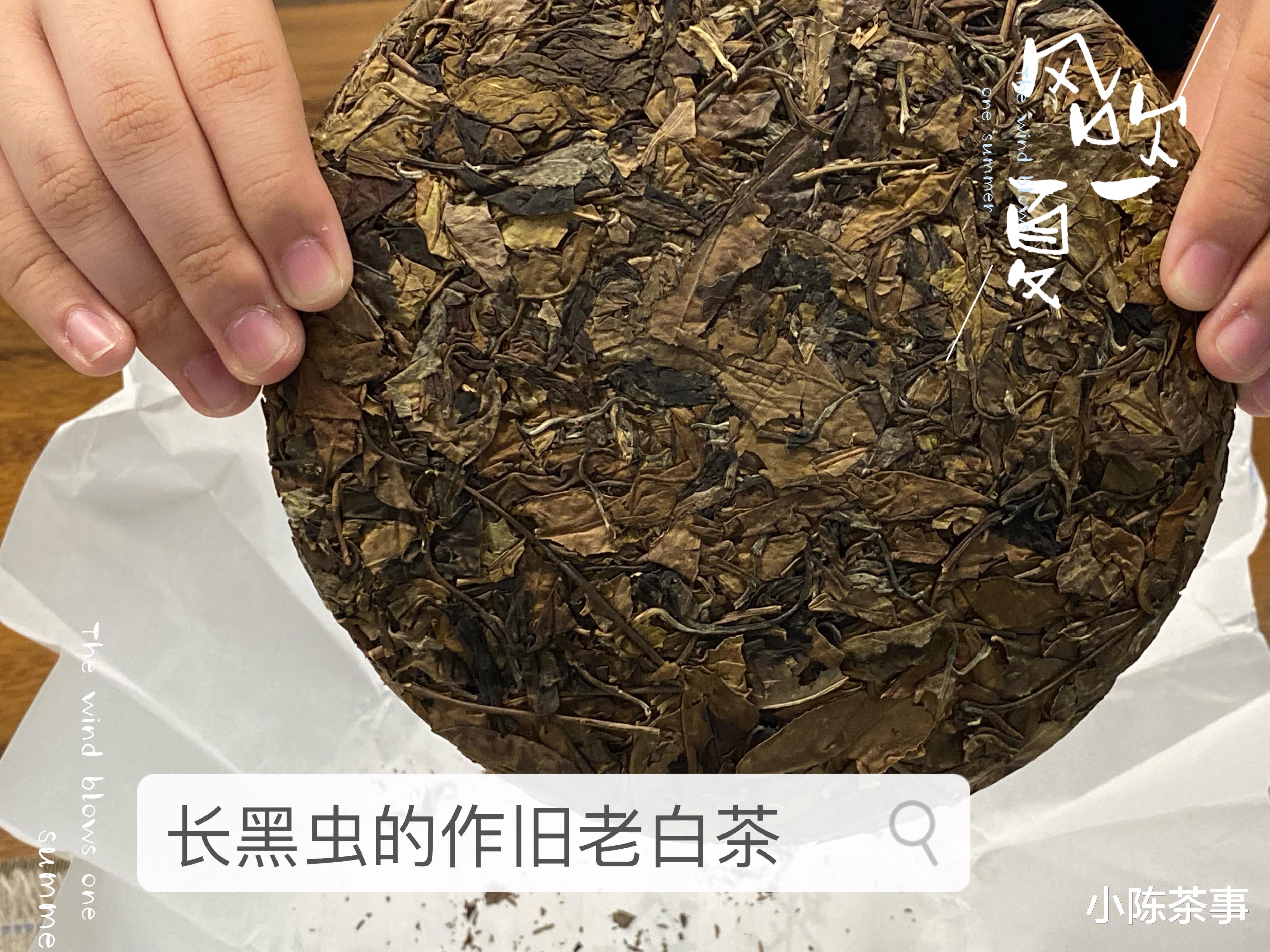 10年陈老寿眉饼，不到100元就能买到，老白茶什么时候烂大街了？