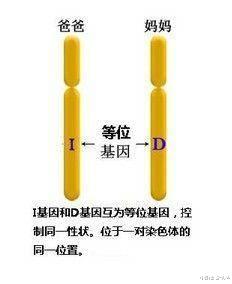 黑人需要多少代混血,才能完全拥有白人特征?