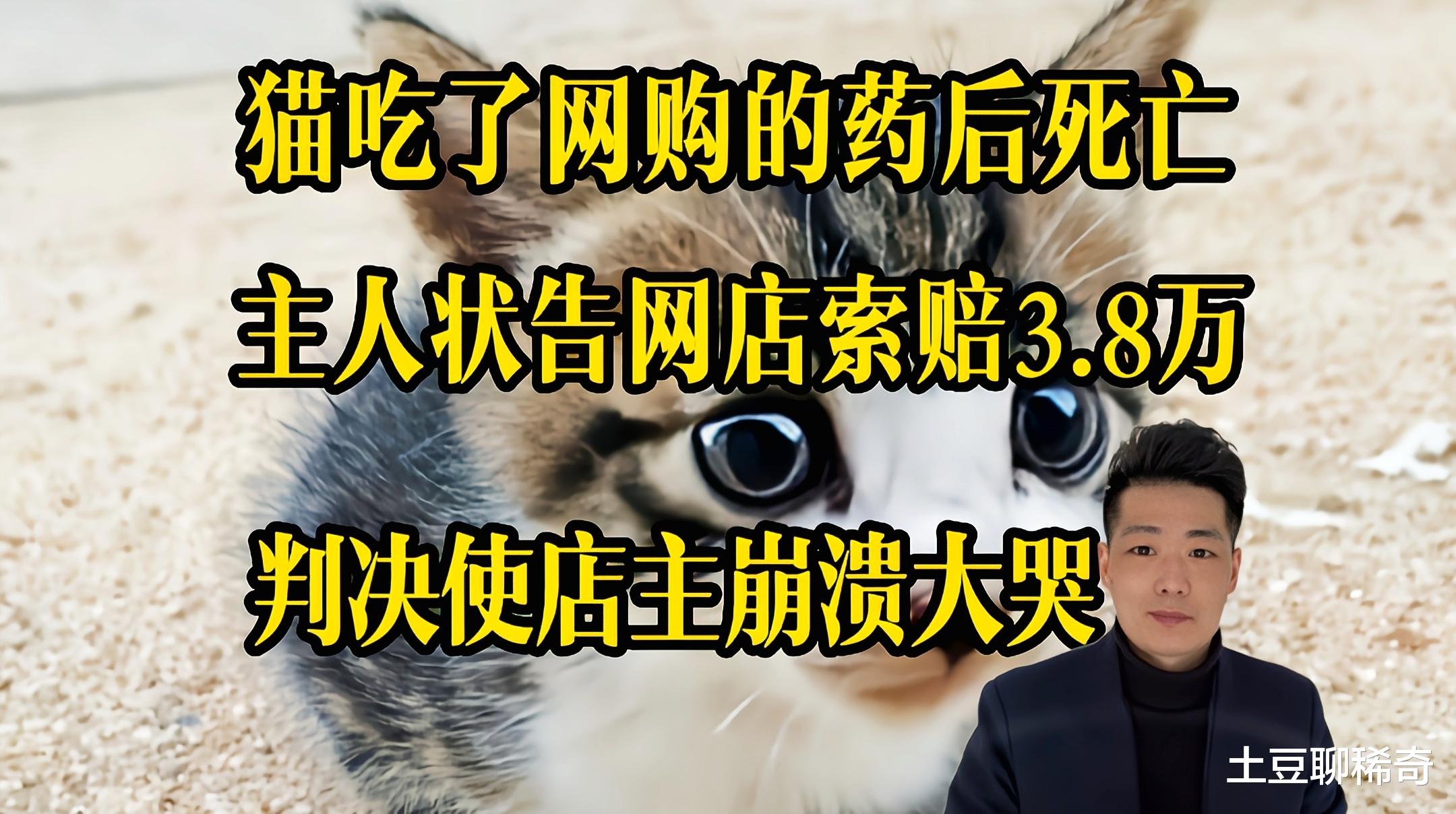 网上买药给猫治病,操作失误导致猫死亡,怒状告网店索赔3.8万!判决结果想不到