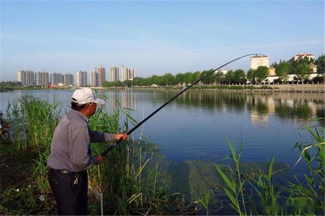 鲫鱼|钓鲫鱼要钓草,为什么都是钓草边,有的人爆护有的人空军?