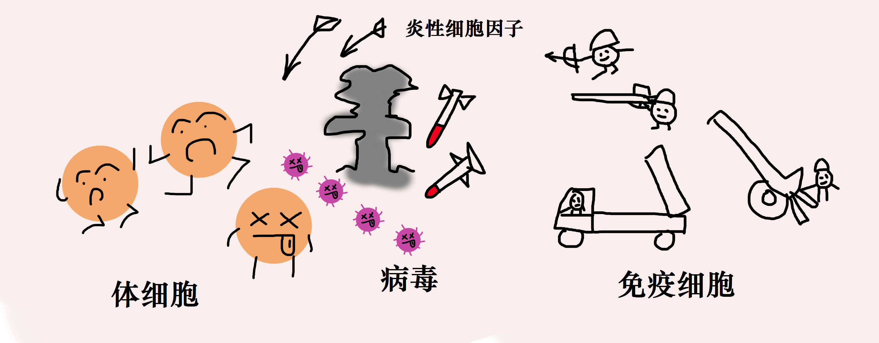 万物相生相克,为啥没听过病毒有天敌?克星竟是它自己!