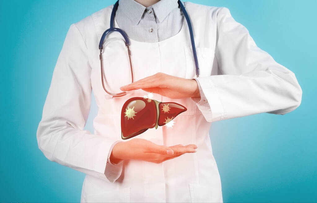 肾结石|2药利胆退黄降酶,抗炎保肝降脂,促进肝功能恢复,抑制肝纤维化