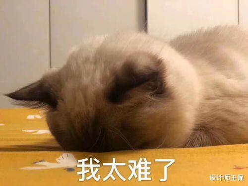 始于颜值,终于实力!这4个厨房小电器,用起来幸福感倍增