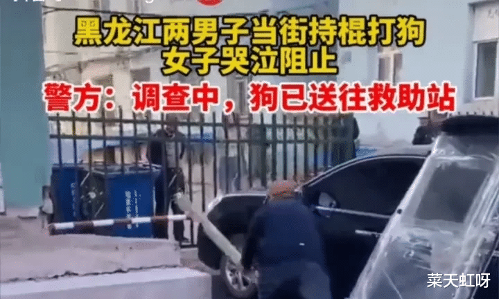男子持带钉子的棍棒抡打流浪狗!!令人发指!!