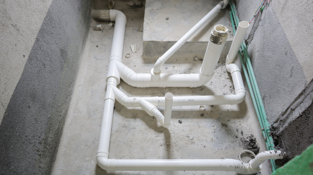 惊蛰节至|珠海新房装修谨防虫蚁