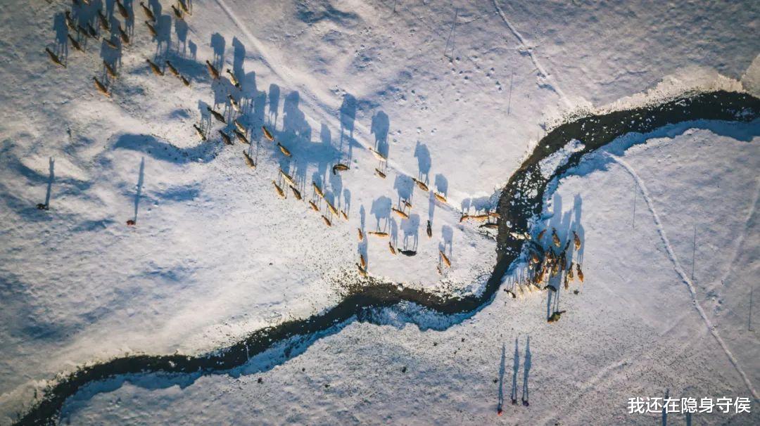 新疆维吾尔自治区|它称第二,无人敢称第一! 沉寂1个月,此生必去的秋色之王正在苏醒