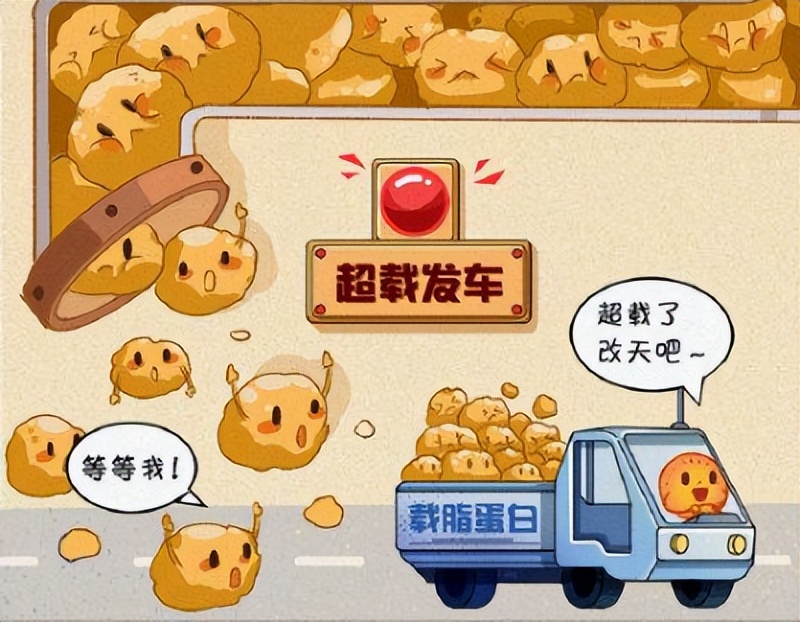 黑丝 男子减肥得了脂肪肝！这个病真的怪脂肪吗？
