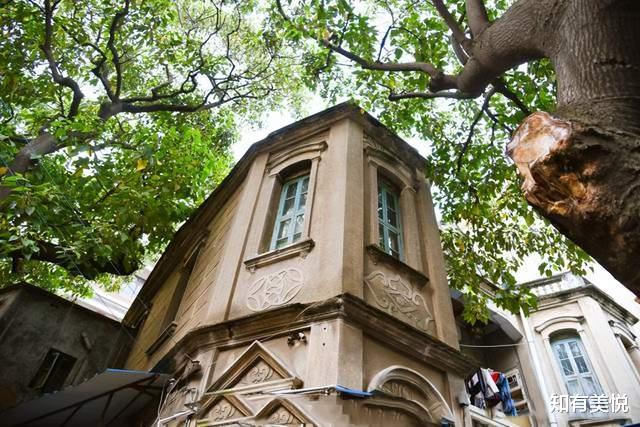 神农架|这8个初夏好去处,遇见限定的风景,看看你对哪个更心动吧!