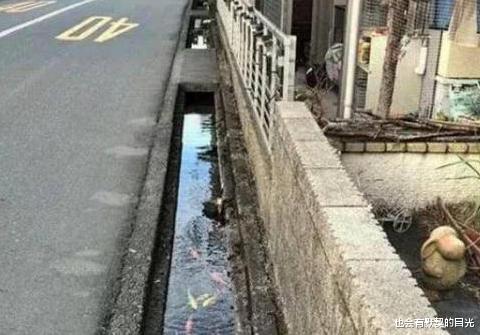 男子花1000万买下没人要的臭水沟,然而几年后,却靠水沟年赚上亿