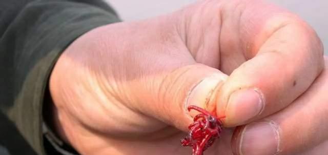 饵料|浅谈深冬野钓商品饵,发窝快诱鱼强配方分享