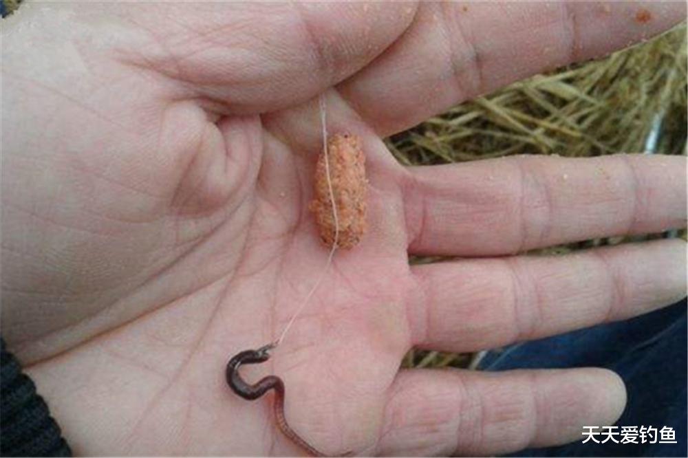 |野钓大鱼,最适合的3种钓法,大鱼一钓一个准