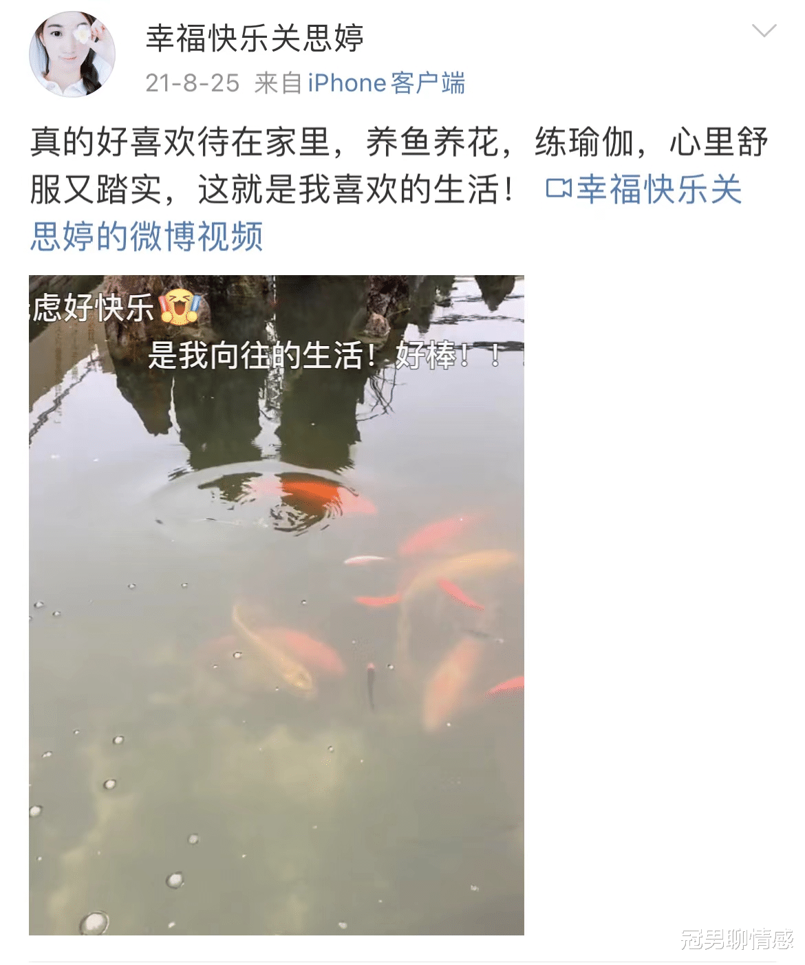 张桐|张桐的妻子关思婷,丈夫患病她不离不弃,虽无子女但生活幸福甜蜜
