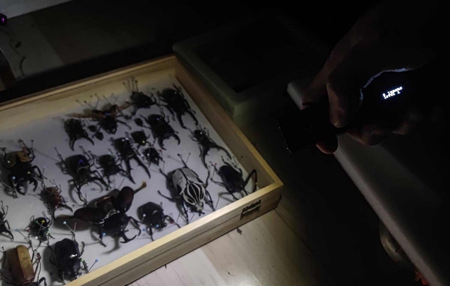 高亮|掌中强光压制、灵活制服黑夜：奈特科尔 TM12K