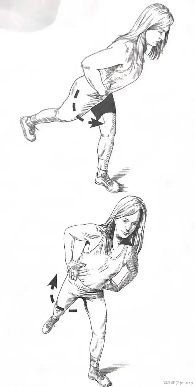 深蹲|重建髋关节治愈腰背疼痛