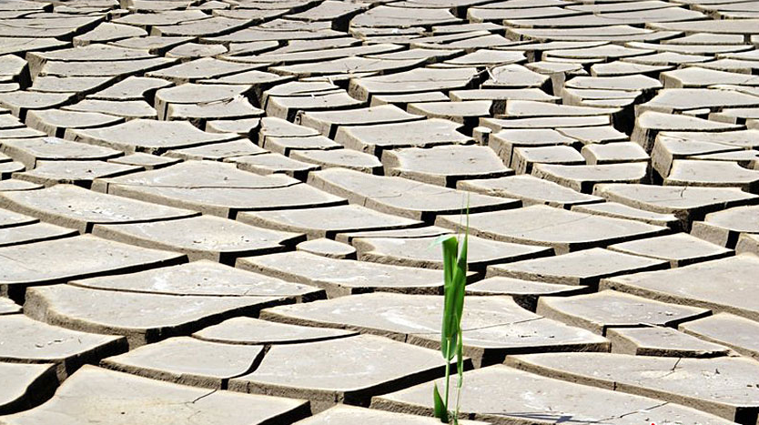 长江|长江有多渴? 七旬老人称从未见过如此旱情, 有关部门: 11月不会好转