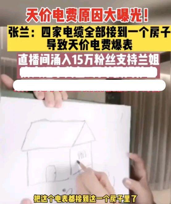 大S|张兰曝大S家高昂电费原因,天价电费是三家电表共享