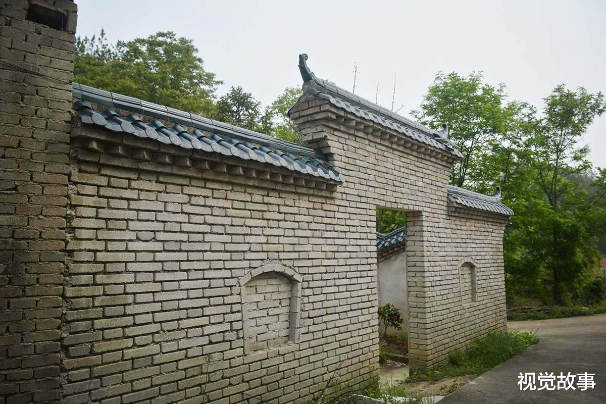65岁大爷深山建豪华别墅,四周树木包围,看为啥不安装大门