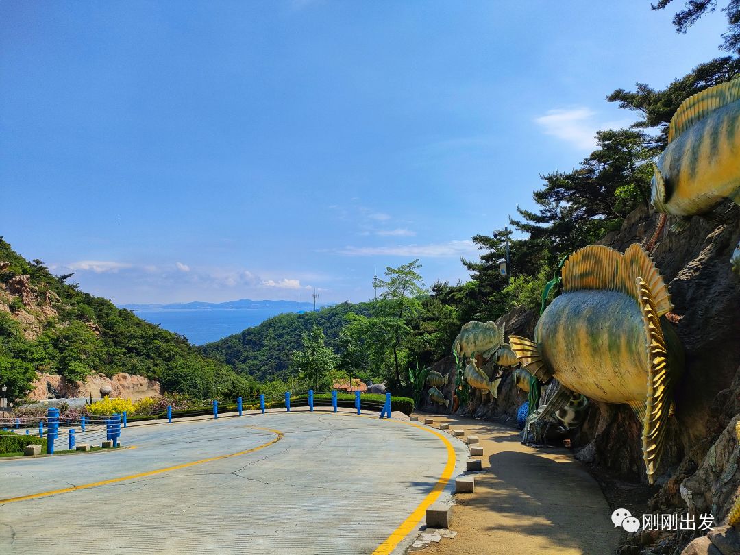 大连|大连海之韵海底大峡谷,邂逅蔷薇花