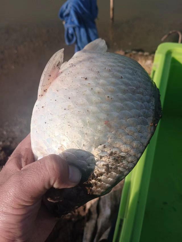 鲫鱼|浅谈冬季野钓风浪天，选钓位有讲究，调漂需留意