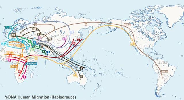 首个中国人从哪儿来？我们的祖先是本土猿人吗？揭秘中国人起源