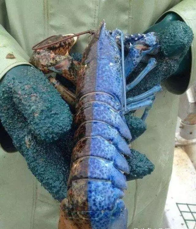 让你大开眼界的一组真实图片,你明白最后那个过程是怎么回事吗?