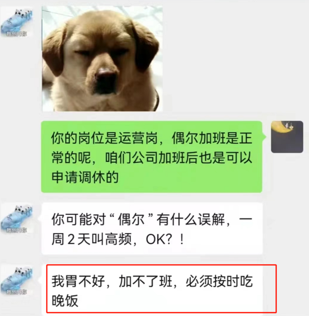 00后|00后“低情商”辞职信走红,没感情全是技巧,直白的理由伤到老板