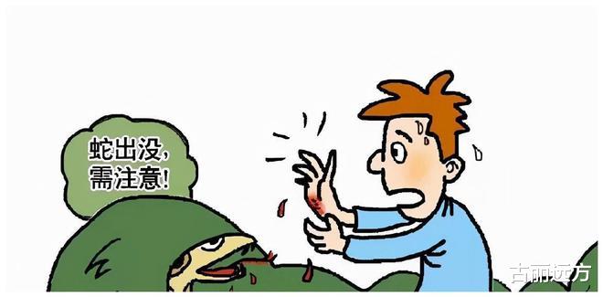 人类为何这么怕蛇?科学家将婴儿和蛇关进一个房间后,找到了答案