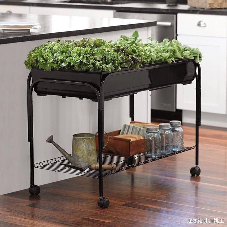 迟早有一天,我也能在厨房这7个地方种上蔬菜,自给自足超省事