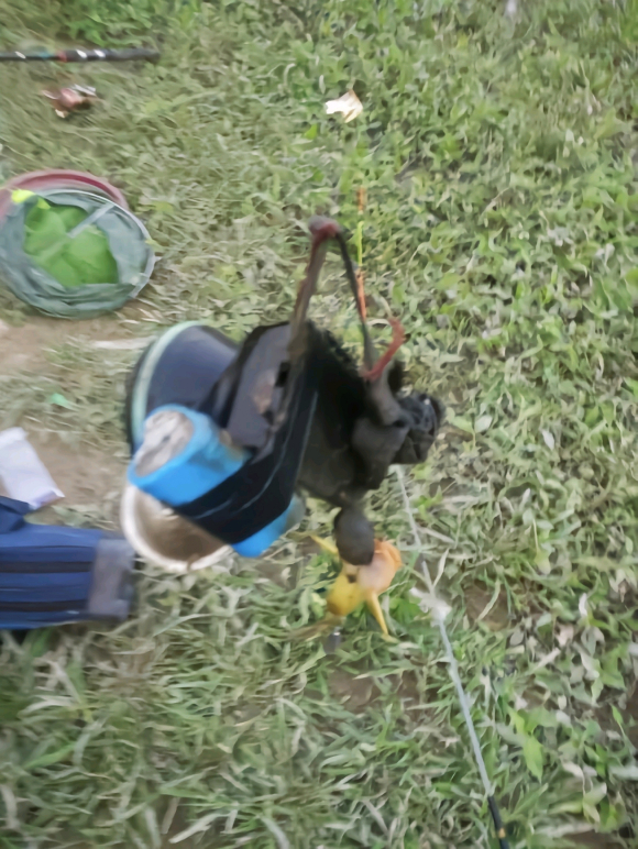 |除了钓不到鱼，真的什么都能钓到，你都钓起来过哪些奇葩？