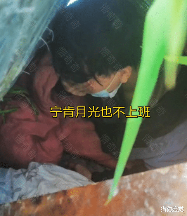 上海市|上海:男子流浪野外,宁肯月光也不上班,“还是个大学生”