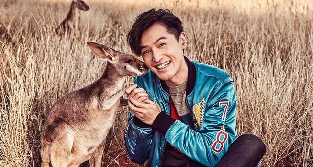 鞠婧祎|胡歌:人间清醒的矛盾体