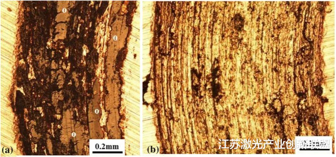 钢的激光粉末床熔炼综述:工艺、微观结构、缺陷和控制方法、机械性能、当前挑战和未来趋势(3)