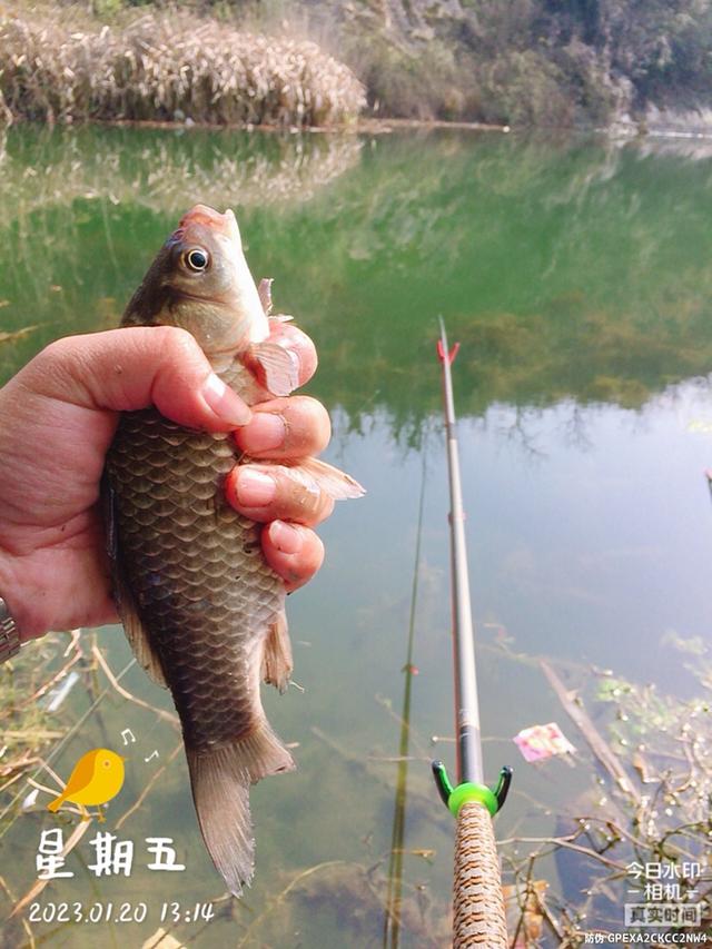 |年前收官之战,渔获满满