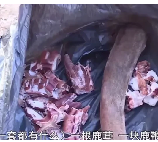 山东青岛,一老人去赶大集,不料却花了13000多元