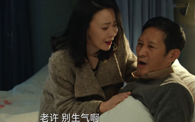 野蛮生长|《风吹半夏》对人物群像刻画完美，中年演员都是实力派，可以说看点十足