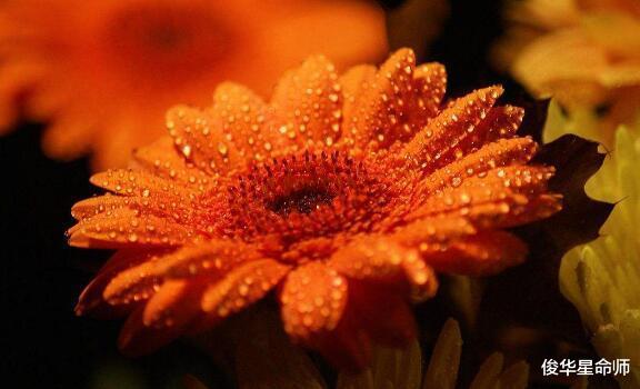 |戊辰龙人，人生荣辱兴衰