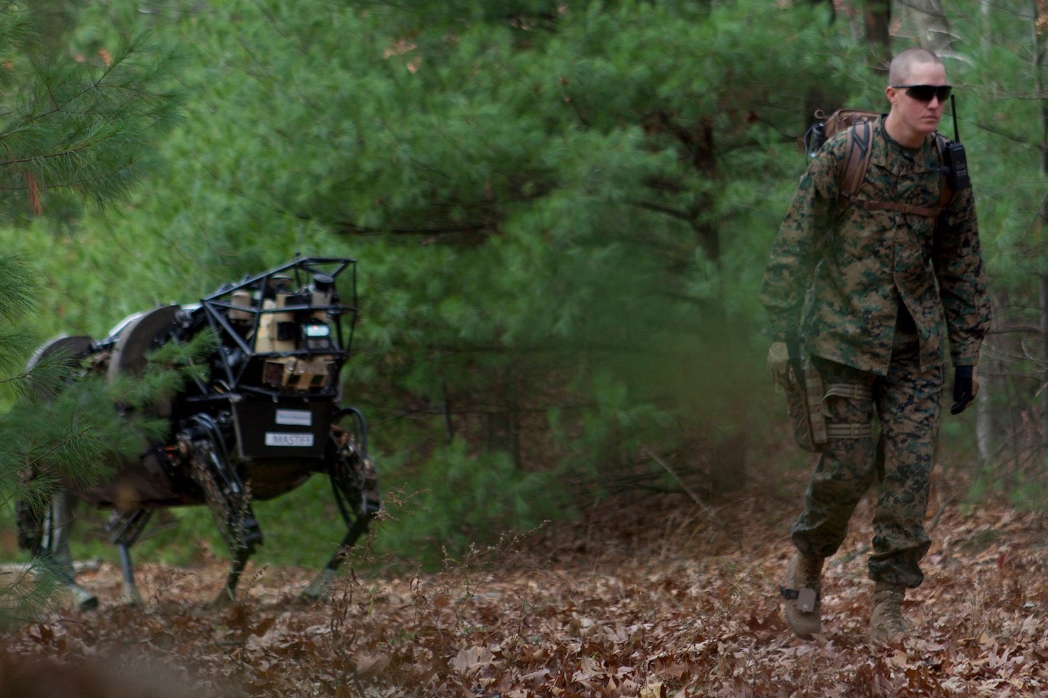 机器人|为什么波士顿动力公司的机器人能如此灵活？特斯拉都难以望其项背