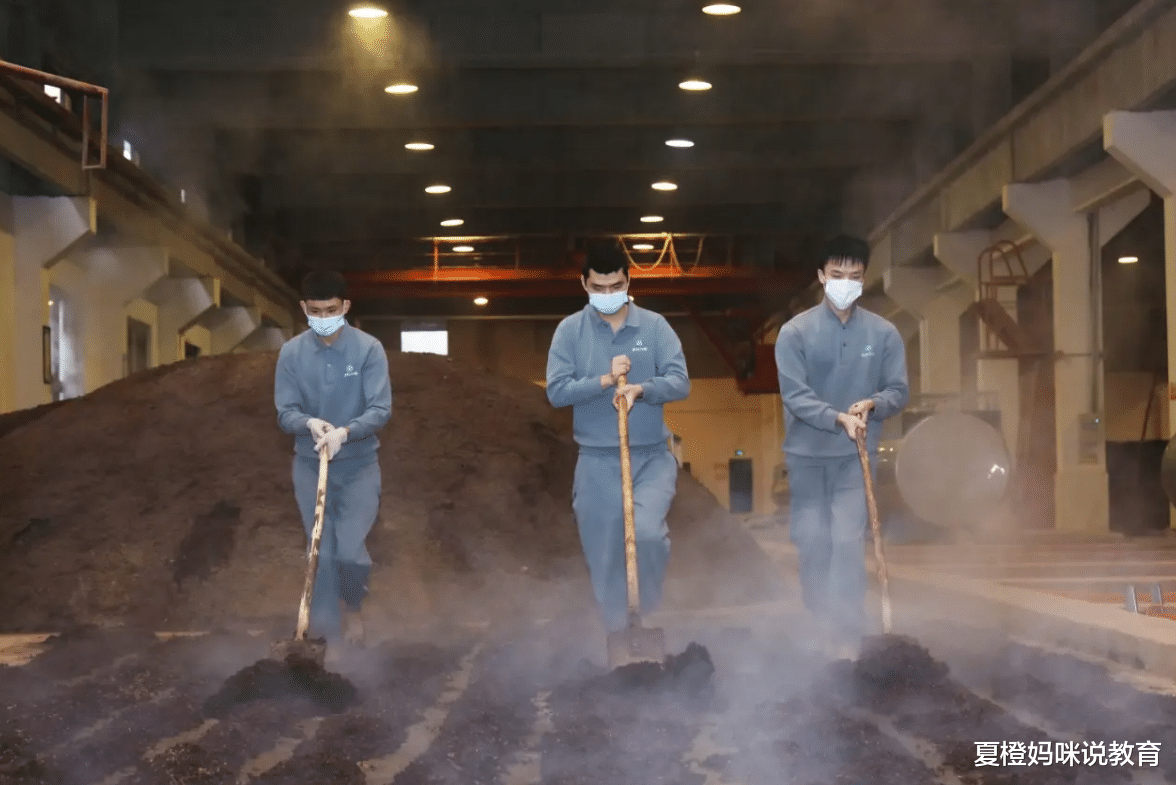 招聘|茅台大规模招聘，年薪13万元左右，必须要通过“体能测试”