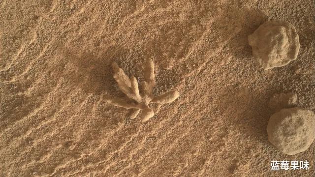 好奇号在火星上发现一条“眼镜蛇”?或已30多亿岁,如何形成的?